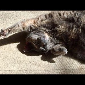 Meet your Posher, Vanessa